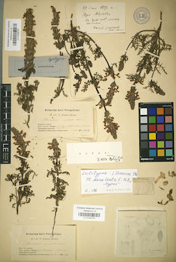 LE 01034724
