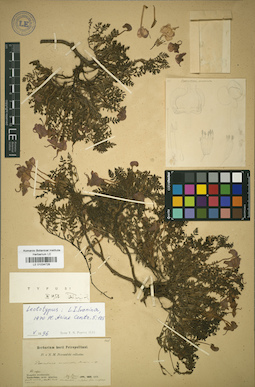 LE 01034728