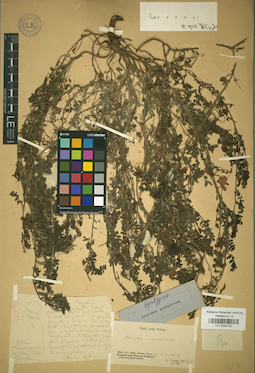 LE 01034734
