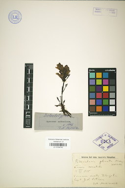 LE 01034743