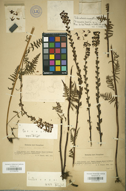 LE 01034753