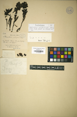 LE 01034754
