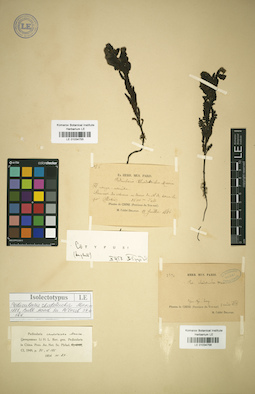 LE 01034756