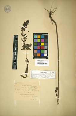 LE 01034757