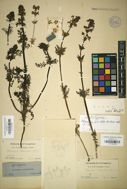 LE 01034760