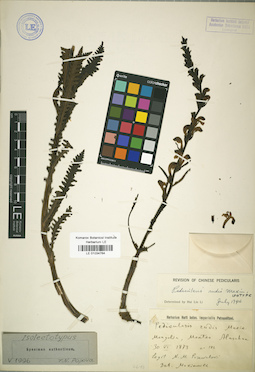 LE 01034764