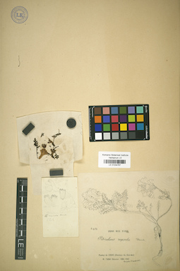 LE 01034767