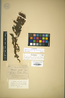 LE 01034778