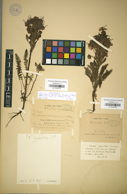 LE 01034780