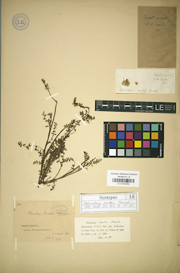 LE 01034783