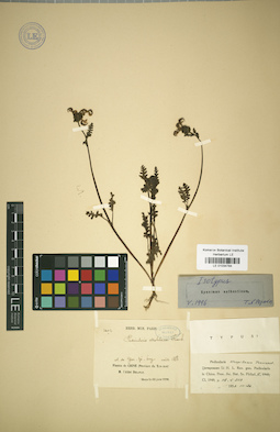 LE 01034784