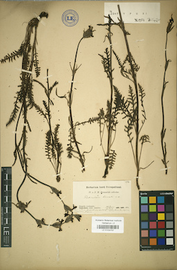 LE 01034797