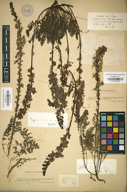LE 01034798