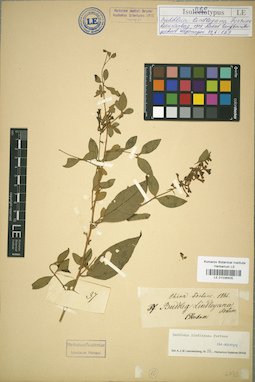 LE 01036405