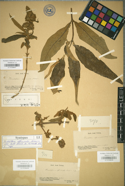 LE 01036409