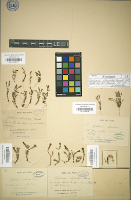 LE 01036420