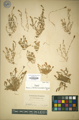 LE 01036428