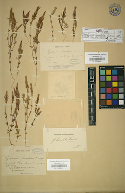 LE 01036462