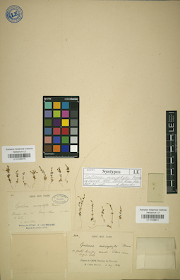 LE 01036476