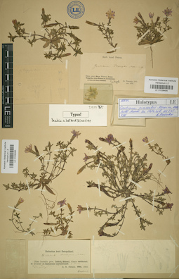 LE 01036484
