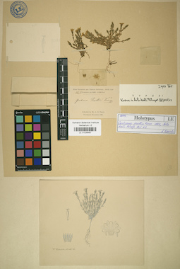 LE 01036487