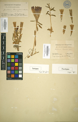 LE 01036494