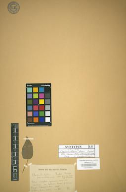 LE 01036541