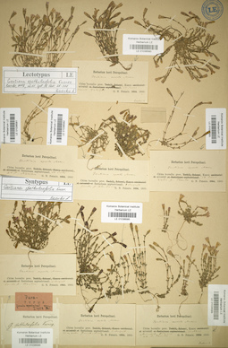 LE 01036584