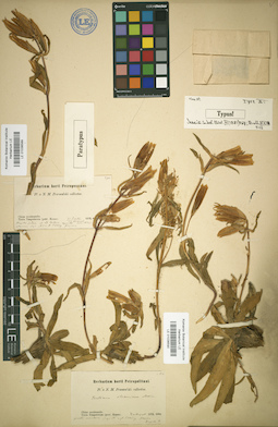 LE 01036589
