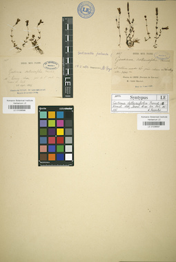 LE 01036596