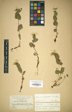 LE 01036609