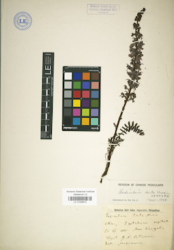 LE 01036615