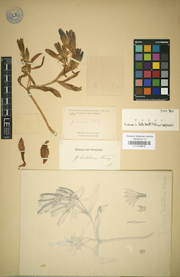 LE 01036618