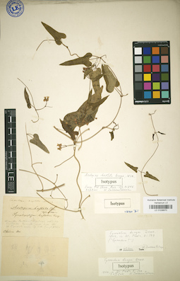 LE 01036670