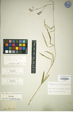 LE 01036671