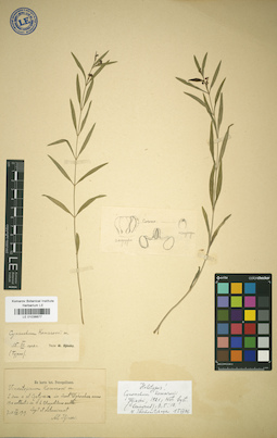 LE 01036677