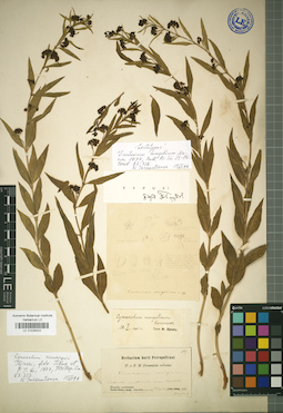 LE 01036683