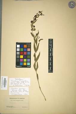 LE 01036685