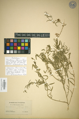 LE 01036688