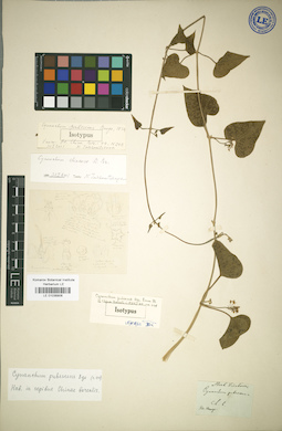 LE 01036906