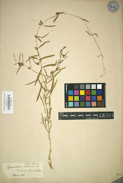 LE 01036910