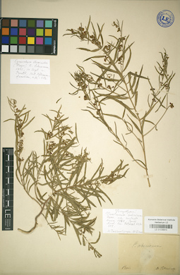 LE 01036914