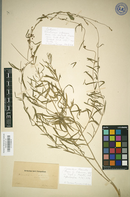 LE 01036916