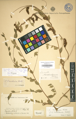 LE 01036918