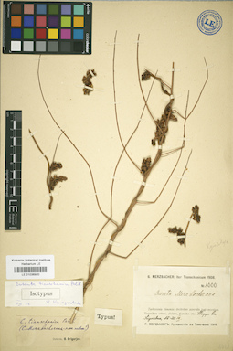 LE 01036920