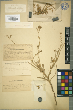 LE 01036924