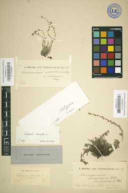 LE 01036940
