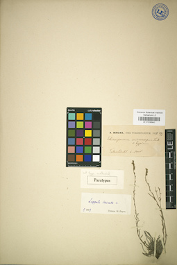 LE 01036942