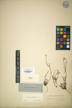 LE 01036943