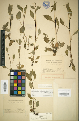 LE 01036957